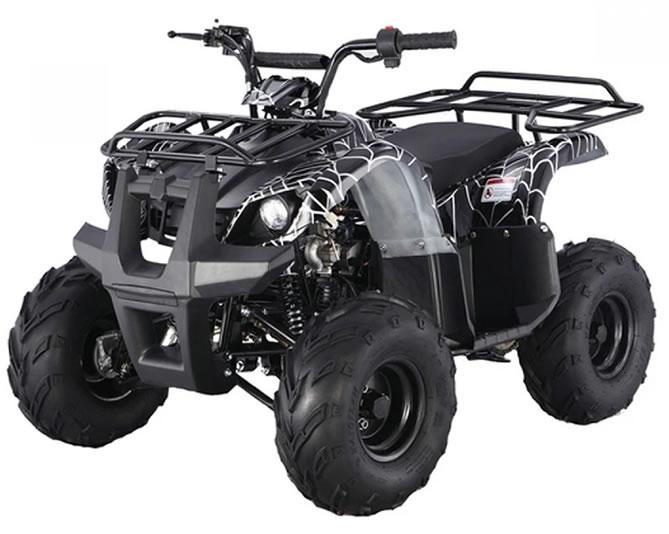 125D ATV