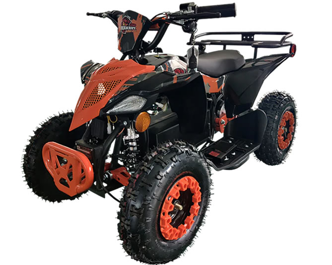 110P ATV
